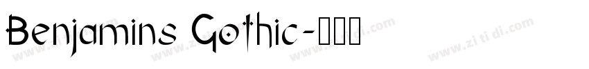 Benjamins Gothic字体转换